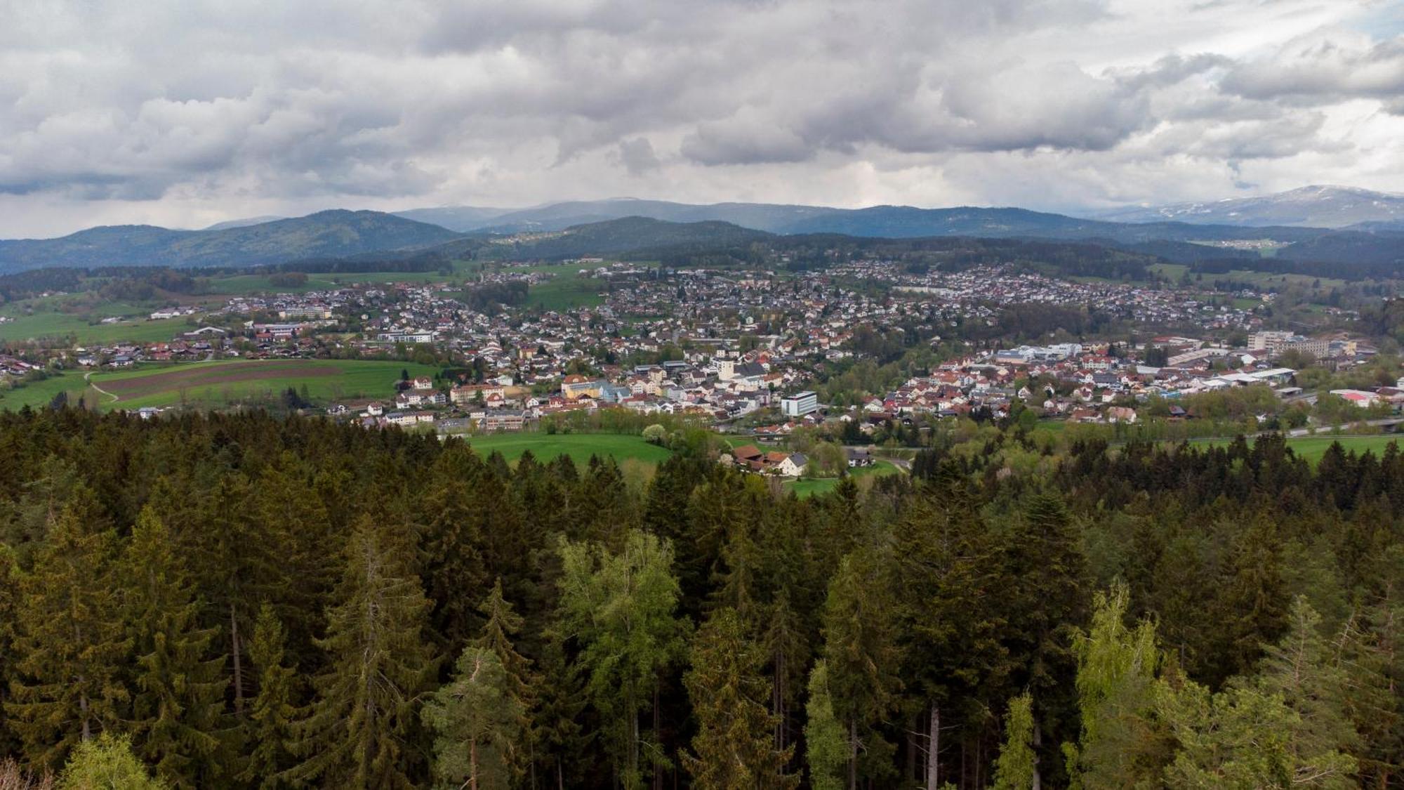 Bayerwaldchalet Regen Buitenkant foto